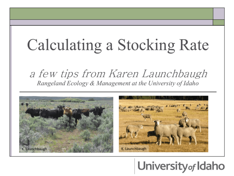 How to Calculate Stocking Rates for Your Pastures: 12 Steps How to Calculate Stocking Rates for Your Pastures: 12 Steps