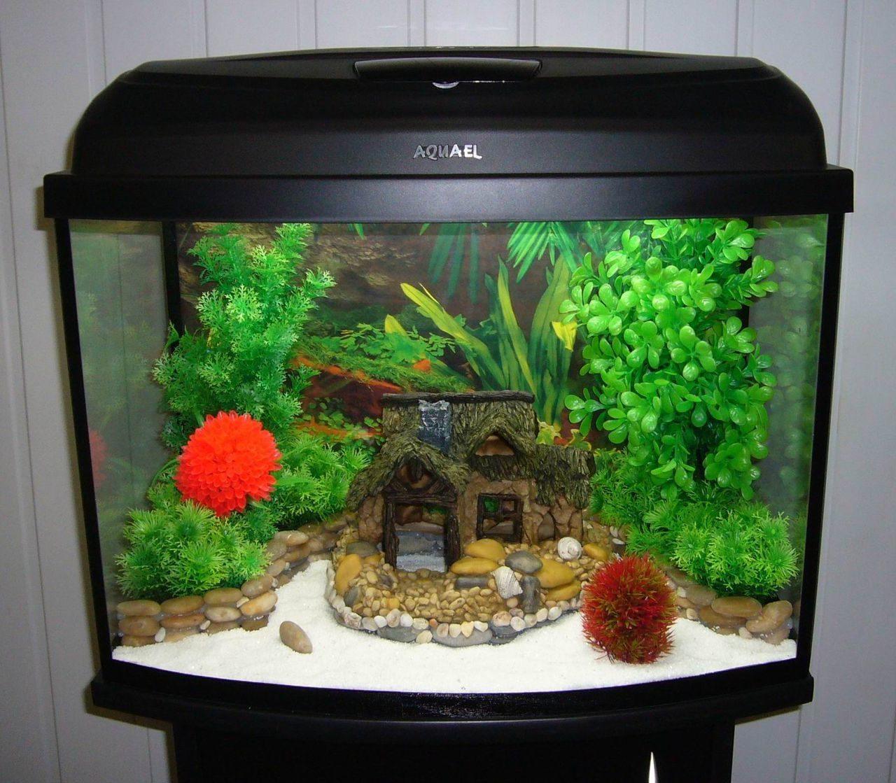 How to Clean Aquarium Decorations: 8 Steps (with Pictures)