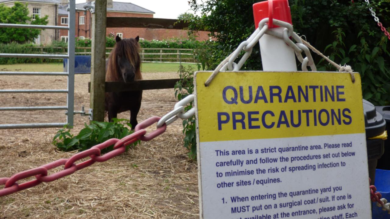 Quarantine Labels 100x75mm | Labels Online Quarantine Labels 100x75mm | Labels Online