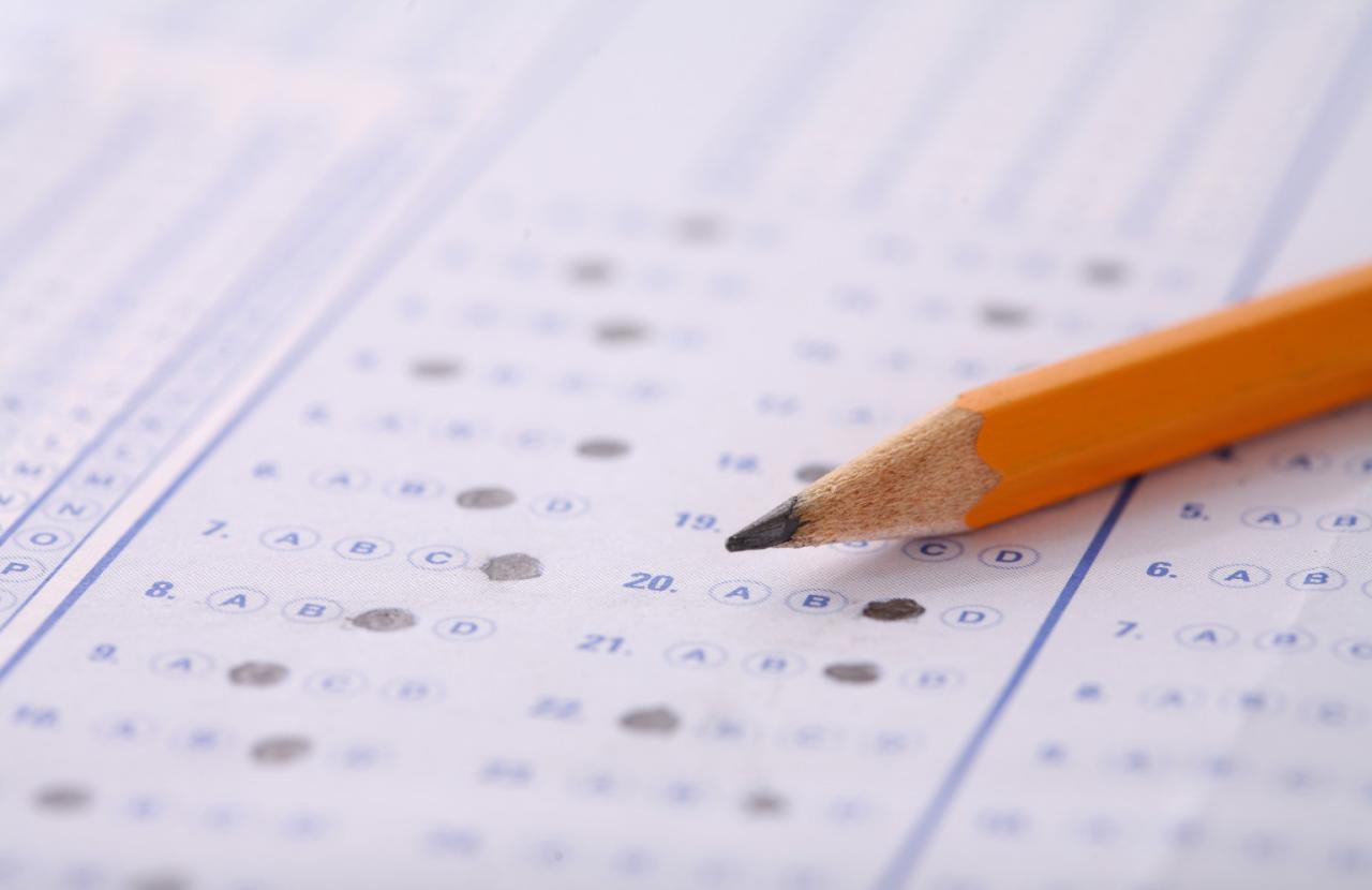 Test scores don't tell us everything, but they certainly tell us ...