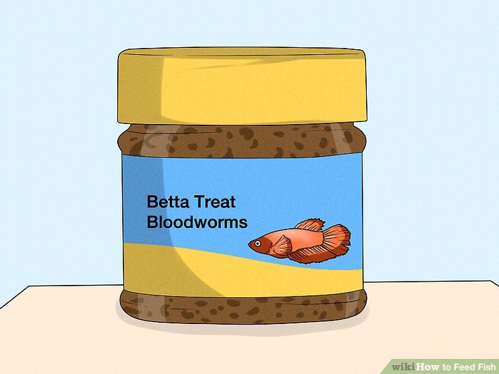 3 Ways to Feed Fish - wikiHow 3 Ways to Feed Fish - wikiHow