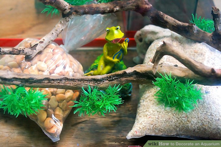 How to Decorate an Aquarium: 9 Steps (with Pictures) - wikiHow