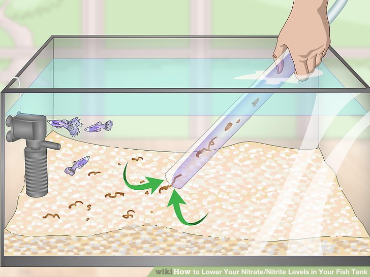 How to Lower Aquarium Nitrates With Denitrifying Bacteria - Rooted Tank ...