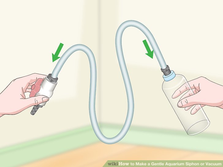 3 Ways to Make a Gentle Aquarium Siphon or Vacuum - wikiHow 3 Ways to Make a Gentle Aquarium Siphon or Vacuum - wikiHow
