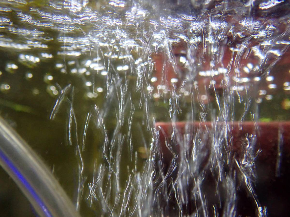 Is this enough surface movement to oxygenate my water enough for 20 ...