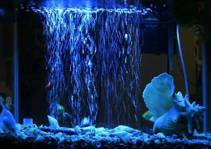 How Do You Oxygenate A Fish Tank (and why you need to) - Fish Keeping ...