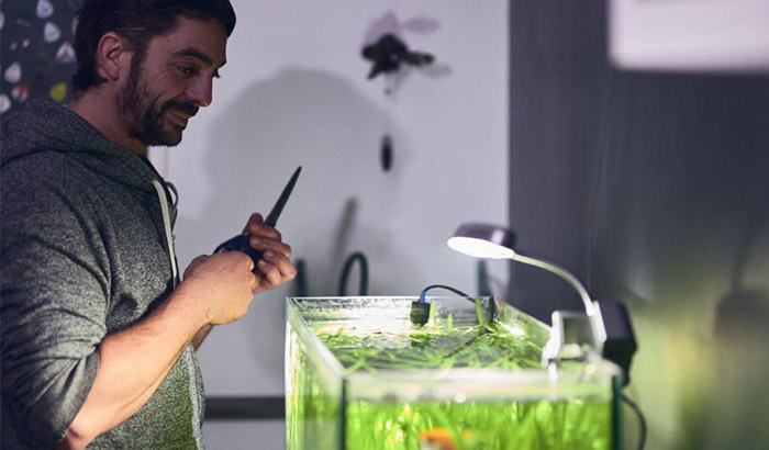 How to Trim Aquarium Plants — In 5 Easy Steps How to Trim Aquarium Plants — In 5 Easy Steps