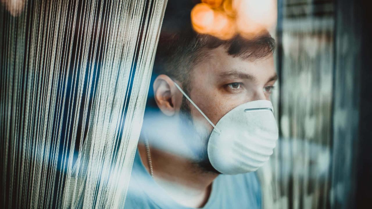 Download Languishing During A Quarantine Wallpaper | Wallpapers.com Download Languishing During A Quarantine Wallpaper | Wallpapers.com