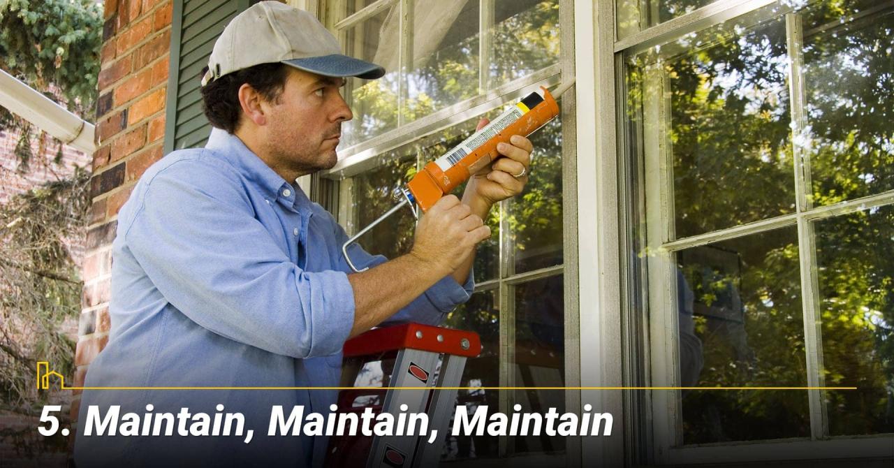 How to maintain aquarium water quality