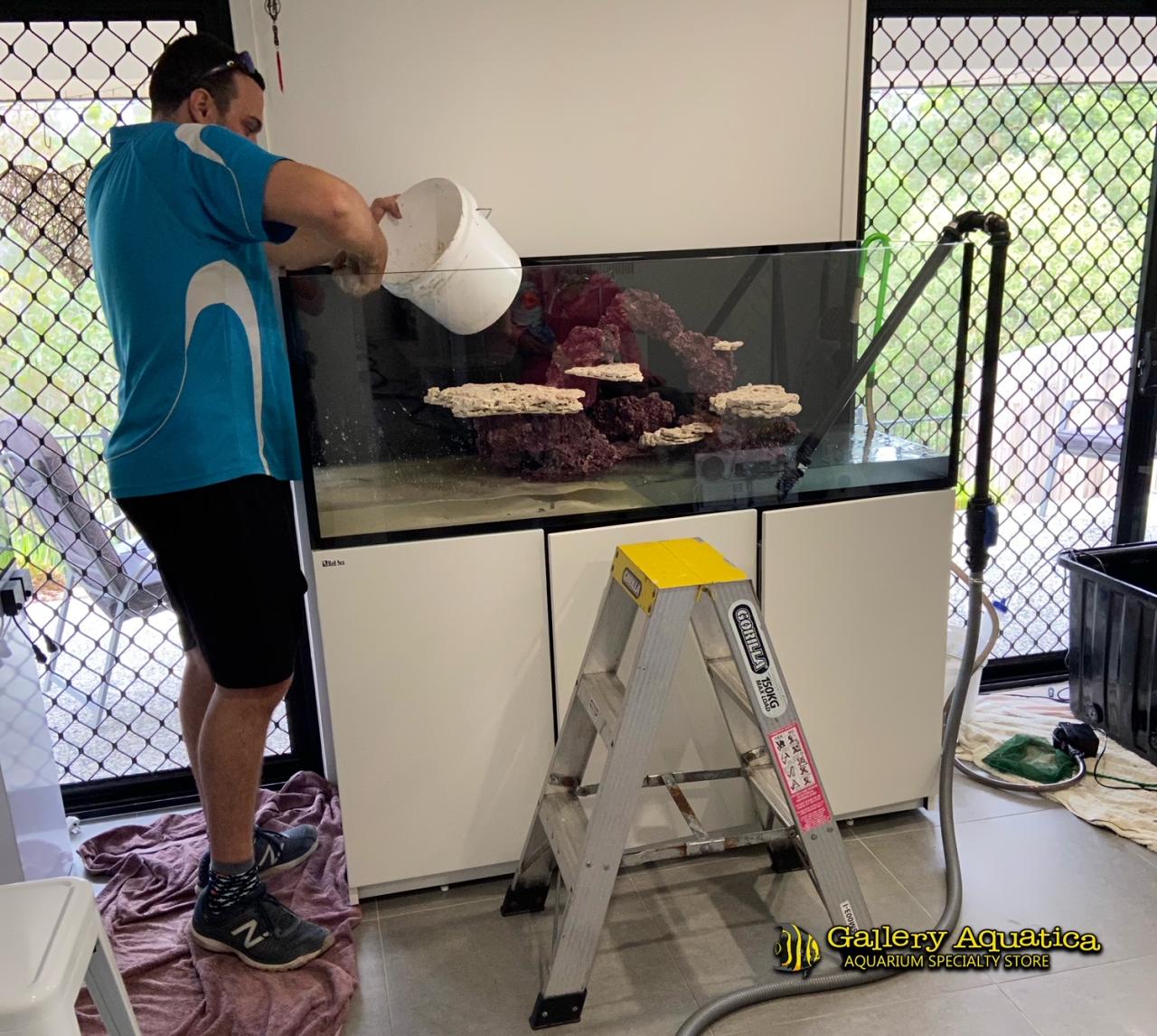 How to Move a Reef Aquarium | Reef Builders | The Reef and Saltwater ...