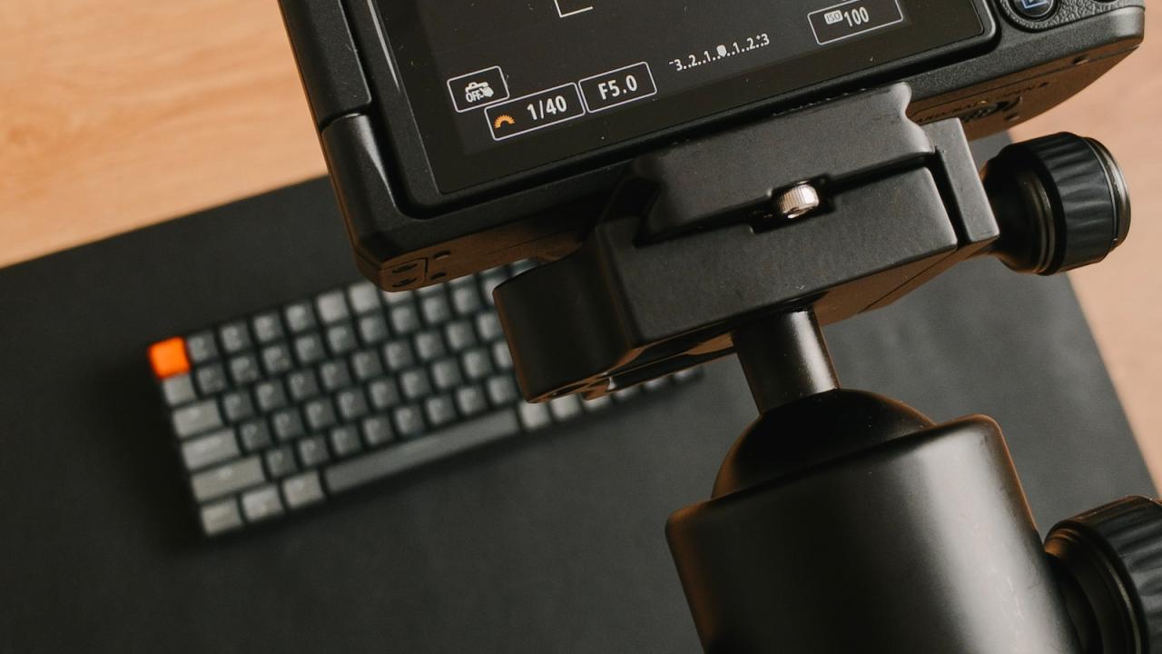 How to Propagate Aquarium Plants – Up-Gardening