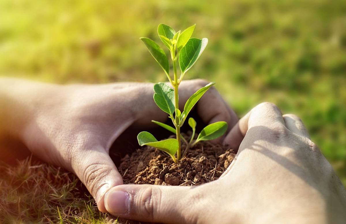 ELimu | The Environment ELimu | The Environment