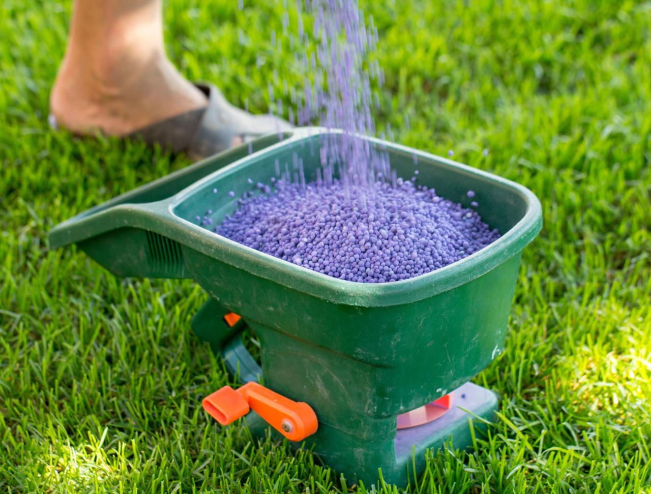 Fertilizer Lawn Guide at Stanley Musso blog